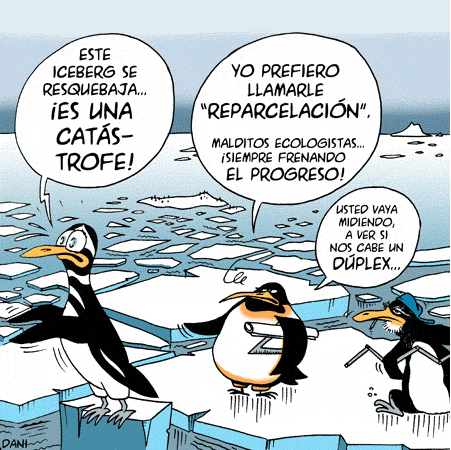pinguinos progreso